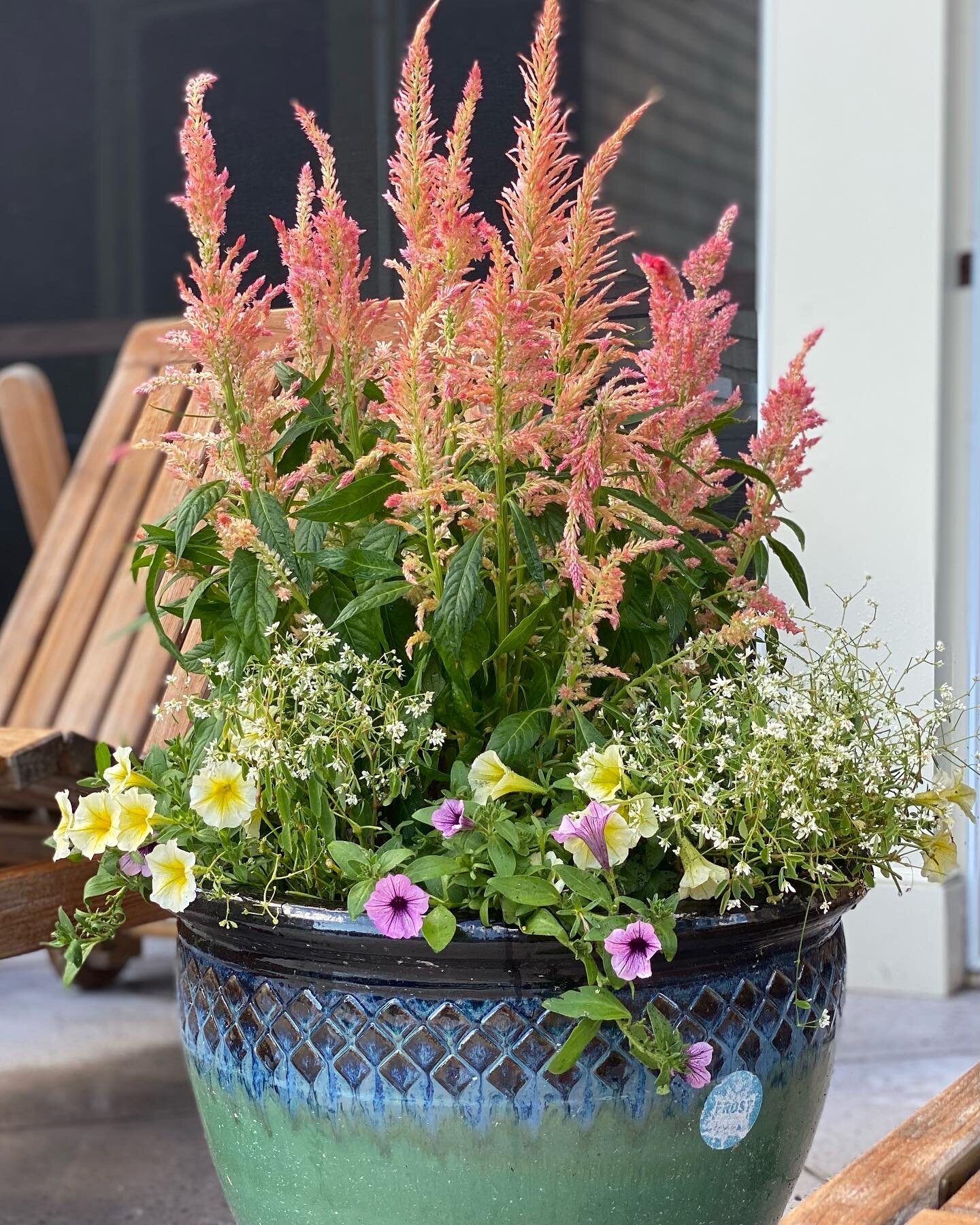 Seasonal container display