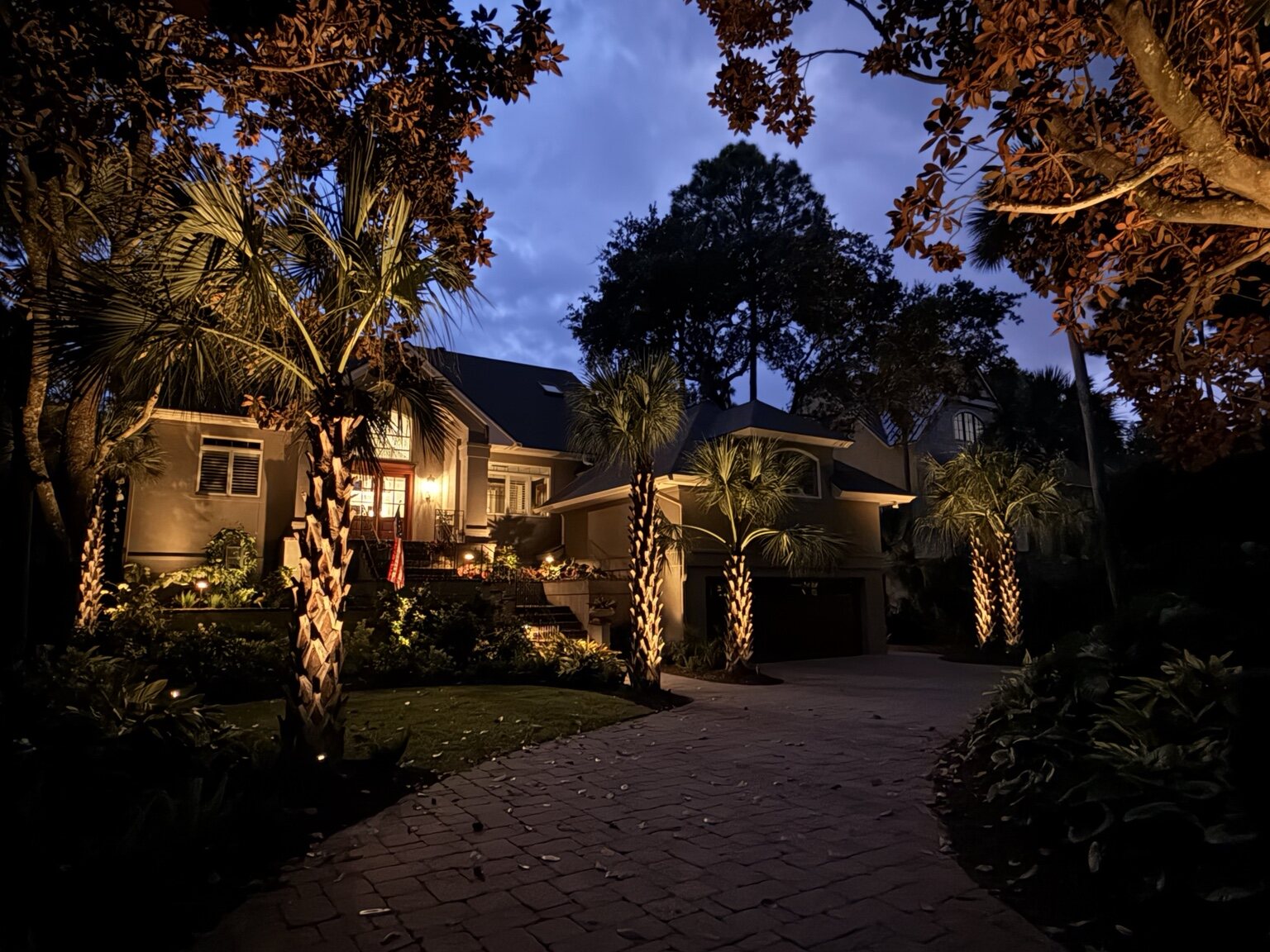 Lowcountry garden illuminated at night