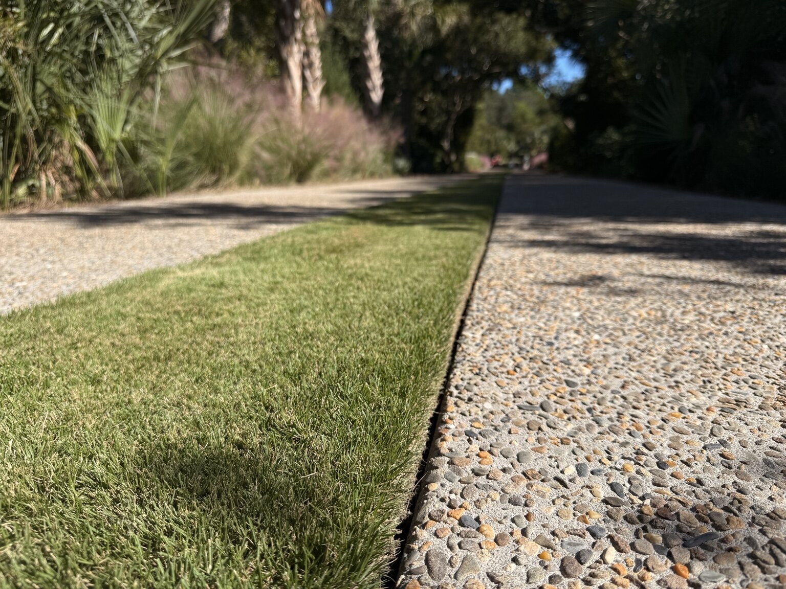 A precise turf edge meeting a Lowcountry aggregate drive